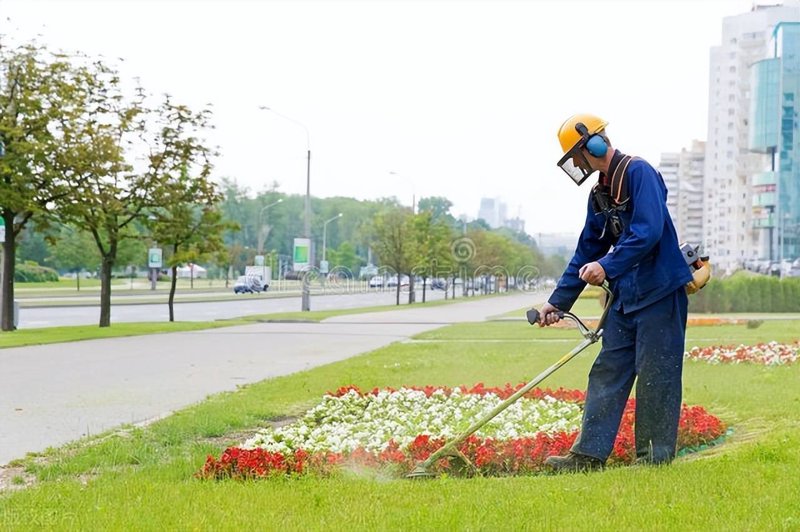 道路绿化