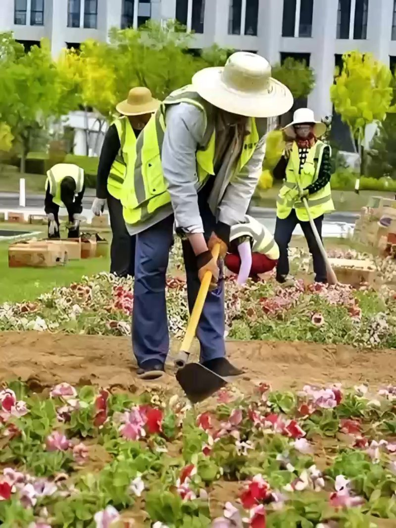 坡地景观设计：自然与艺术的完美融合